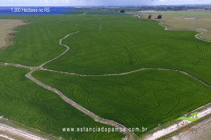 Criado em galpão-Os Serranos [VDownloader].00_03_23_17.Quadro047_3e3c6cb690d5c8e7d0e8485113db77acc08b581f.jpg